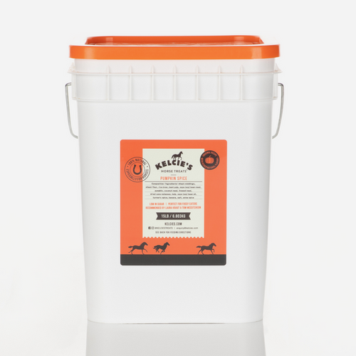 Kelcie's Pumpkin Spice Horse Treats