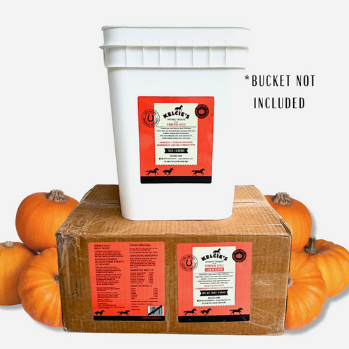 Kelcie's Pumpkin Spice Horse Treats