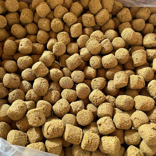 Kelcie's Pumpkin Spice Horse Treats