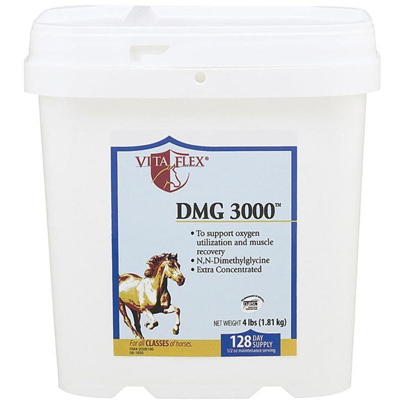 VITA FLEX DMG 3000 CONC. PERFORMANCE SUPPLEMENT FOR HORSES